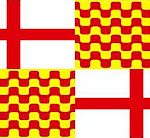 Tabarnia bandera